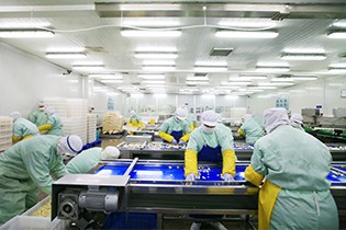 农产品基地