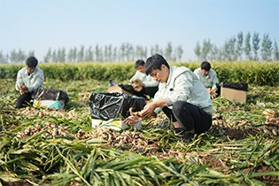 农产品基地